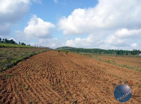 新闻：全国首次土壤普查结果公布 近两成耕地被污染