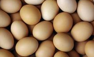 新闻：鸡蛋价格跌至年内最低点