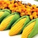 日报：5月21日中国市场玉米价格略跌
