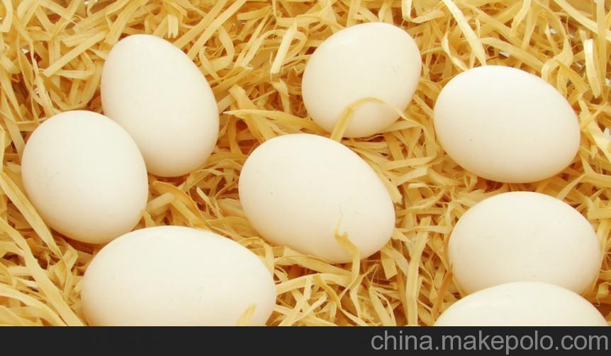 综合日报：2月27日中国商品蛋禽市场行情综述