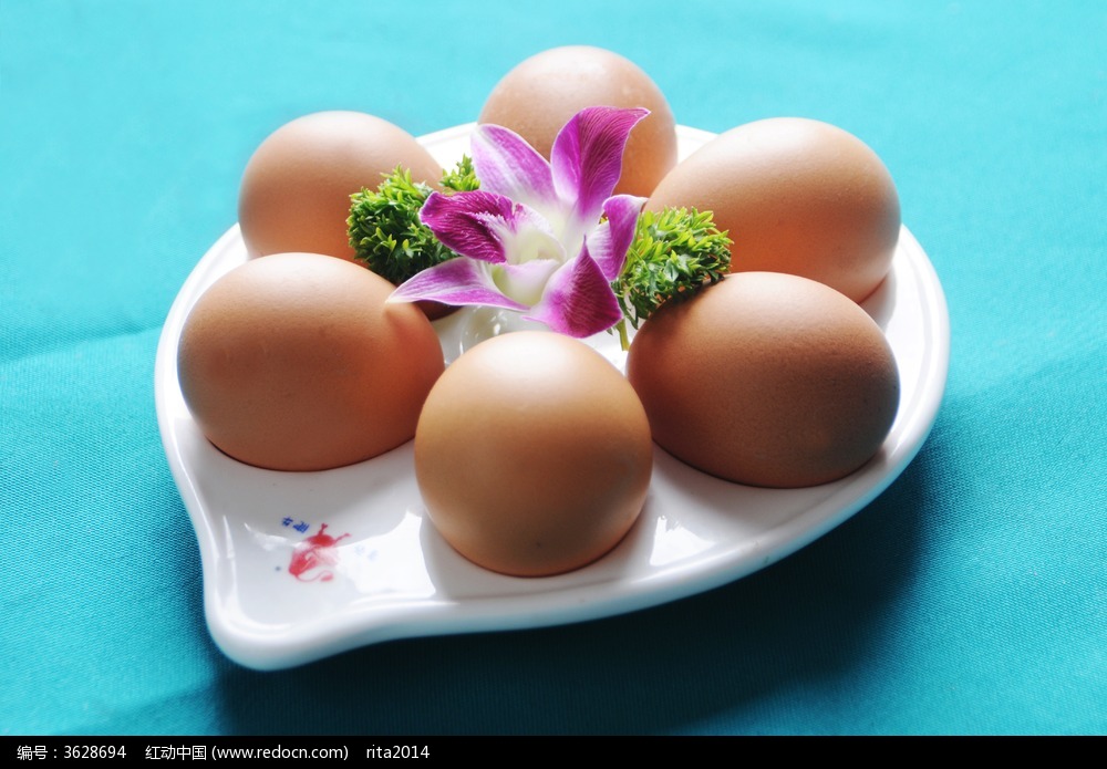 综合日报：3月6日中国商品蛋禽市场行情综述